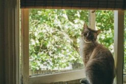 35mm Colour Camera Film Bundle (Set Of 10) -Film Camera Store 35mm colour camera film bundle set of 10 4