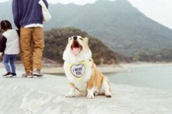 35mm Film Camera Reusable Starter Pack With Flash And 2 X 35mm Film - Pink Vibe -Film Camera Store 35mm film camera reusable starter pack with flash and 2 x 35mm film pink vibe 11