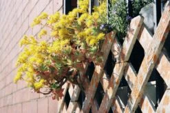 BRAND NEW - Minolta Riva Zoom 125 35mm Film Camera Point And Shoot -Film Camera Store brand new minolta riva zoom 125 35mm film camera point and shoot 9