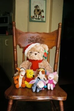 BRAND NEW - Olympus Mju III Wide 100 35mm Film Camera Point And Shoot 30 BRAND NEW - Olympus Mju III Wide 100 35mm Film Camera Point And Shoot -Film Camera Store brand new olympus mju iii wide 100 35mm film camera point and shoot 11