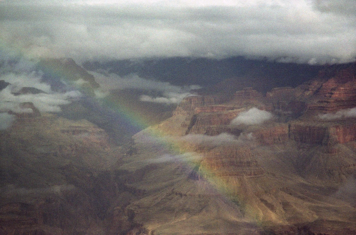 BRAND NEW - Olympus Mju III Wide 100 35mm Film Camera Point And Shoot 18 BRAND NEW - Olympus Mju III Wide 100 35mm Film Camera Point And Shoot - Image 16