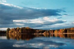 BRAND NEW - Olympus OM40 Program Black 35mm SLR Film Camera With Olympus Prime Lens 33 BRAND NEW - Olympus OM40 Program Black 35mm SLR Film Camera With Olympus Prime Lens -Film Camera Store brand new olympus om40 program black 35mm slr film camera with olympus prime lens 14