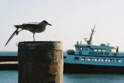 BRAND NEW - Pentax Espio 115 / IQZoom 115 35mm Film Camera Point And Shoot -Film Camera Store brand new pentax espio 115 iqzoom 115 35mm film camera point and shoot 15