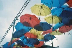 BRAND NEW - Pentax Espio 115 / IQZoom 115 35mm Film Camera Point And Shoot -Film Camera Store brand new pentax espio 115 iqzoom 115 35mm film camera point and shoot 9