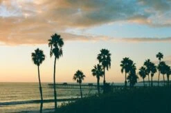 Canon® Canon AE-1 Program 35mm SLR Film Camera With Canon Prime Lens -Film Camera Store canon ae 1 program 35mm slr film camera with canon prime lens 13