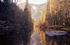 Canon® Canon AE-1 Program 35mm SLR Film Camera With Canon Prime Lens -Film Camera Store canon ae 1 program 35mm slr film camera with canon prime lens 16