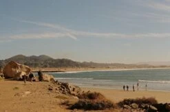 Canon® Canon AV 1 Black Vintage 35mm SLR Film Camera With Prime 50mm Lens -Film Camera Store canon av 1 black vintage 35mm slr film camera with prime 50mm lens 11