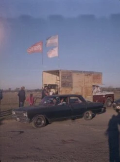 Canon® Canon Demi C Point And Shoot 35mm Half Frame Film Camera With Canon SD 50mm F2.8 -Film Camera Store canon demi c point and shoot 35mm half frame film camera with canon sd 50mm f2 8 9