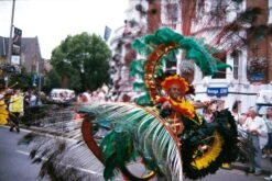 Canon® Canon EOS 300V 35mm SLR Film Camera - Body Only -Film Camera Store canon eos 300v 35mm slr film camera body only 11