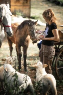 Canon® Canon EOS 300V 35mm SLR Film Camera - Body Only -Film Camera Store canon eos 300v 35mm slr film camera body only 15