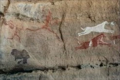 Canon® Canon EOS 5 35mm SLR Film Camera - Body Only -Film Camera Store canon eos 5 35mm slr film camera body only 9