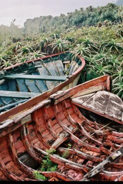 Canon FTb QL 35mm SLR Film Camera With Canon Sc 50mm F1.8. -Film Camera Store canon ftb ql 35mm slr film camera with canon sc 50mm f1 8 12