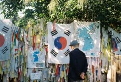 Canon® Canon Prima Zoom 85 Brand New 35mm Film Camera Point And Shoot -Film Camera Store canon prima zoom 85 brand new 35mm film camera point and shoot 12