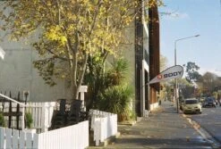 Canon® Canon Snappy LX 35mm Film Camera Point And Shoot -Film Camera Store canon snappy lx 35mm film camera point and shoot 11