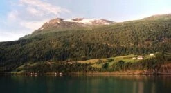 Canon® Canon Snappy LX 35mm Film Camera Point And Shoot -Film Camera Store canon snappy lx 35mm film camera point and shoot 14