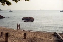 Canon® Canon Sure Shot Max 35mm Film Camera Point And Shoot -Film Camera Store canon sure shot max 35mm film camera point and shoot 14