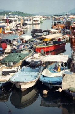 Canon® Canon Sure Shot Max 35mm Film Camera Point And Shoot -Film Camera Store canon sure shot max 35mm film camera point and shoot 16