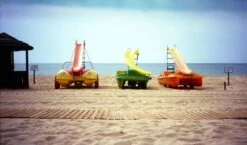 Canon® Canon Sure Shot Supreme 35mm Film Camera Point And Shoot With Black Leather Canon Case And ORIGNAL BOX -Film Camera Store canon sure shot supreme 35mm film camera point and shoot with black leather canon case and orignal box 15