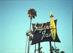 Canon® Canon Sure Shot Supreme 35mm Film Camera Point And Shoot With Black Leather Canon Case And ORIGNAL BOX -Film Camera Store canon sure shot supreme 35mm film camera point and shoot with black leather canon case and orignal box 18