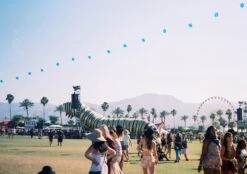 Canon® Canon Sure Shot Supreme 35mm Film Camera Point And Shoot With Black Leather Canon Case And ORIGNAL BOX -Film Camera Store canon sure shot supreme 35mm film camera point and shoot with black leather canon case and orignal box 7