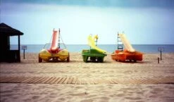 Canon® Canon Sure Shot Supreme 35mm Film Camera Point And Shoot -Film Camera Store canon sure shot supreme 35mm film camera point and shoot with free black leather canon case 11