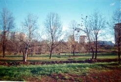 Canon® Canon Sure Shot TeleMax 35mm Film Camera Point And Shoot -Film Camera Store canon sure shot telemax 35mm film camera point and shoot 9