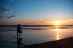 Canon® Canon Sure Shot Z135 35mm Film Camera Point And Shoot -Film Camera Store canon sure shot z135 35mm film camera point and shoot 9