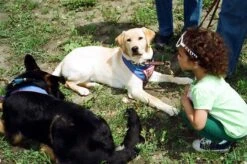 Canon® Canon Sure Shot Zoom XL 35mm Film Camera Point And Shoot -Film Camera Store canon sure shot zoom xl 35mm film camera point and shoot 13