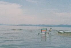 Canon® Canon T80 35mm SLR Film Camera With Prime Lens -Film Camera Store canon t80 35mm slr film camera with prime lens 13