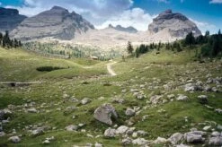 Contax T3 Titan Silver 35mm Film Camera Point & Shoot With 35mm F/2.8 Lens 29 Contax T3 Titan Silver 35mm Film Camera Point & Shoot With 35mm F/2.8 Lens -Film Camera Store contax t3 titan silver 35mm film camera point and shoot with 35mm f2 8 lens 11