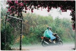 Flic Film Elektra 35mm Colour Film Bundle (Set Of 3) -Film Camera Store flic film elektra 35mm colour film bundle set of 3 8