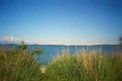 FUJI DL-190 Zoom 35mm Film Camera Point And Shoot -Film Camera Store fuji dl 190 zoom 35mm film camera point and shoot 7