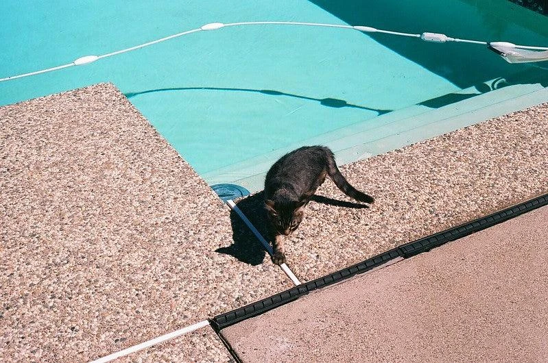 Fujica ST605 35mm SLR Film Camera W/ Prime Lens 13 Fujica ST605 35mm SLR Film Camera W/ Prime Lens - Image 11