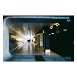 Fujicolor C200 24 Exp 35mm Film Double Pack EXPIRED 7 Fujicolor C200 24 Exp 35mm Film Double Pack EXPIRED -Film Camera Store fujicolor c200 24 exp 35mm film double pack expired 3