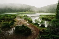 Halina 35-600 35mm Point N Shoot Film Camera -Film Camera Store halina 35 600 35mm point n shoot film camera 11