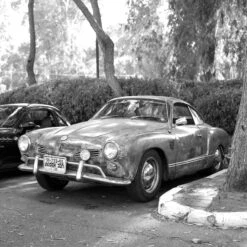 Ilford HP5 24 EXP 400 35mm Film -Film Camera Store ilford hp5 24 exp 400 35mm film 5