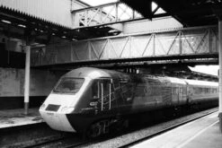 Ilford HP5 24 EXP 400 35mm Film -Film Camera Store ilford hp5 24 exp 400 35mm film 6