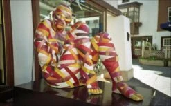 Kodak Color Plus 200 36 Exp 35mm Film EXPIRED (set Of 10) -Film Camera Store kodak color plus 200 36 exp 35mm film expired set of 10 10