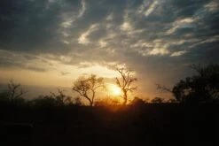 Kodak ColorPlus 24 EXP 200 35mm Colour Film 15 Kodak ColorPlus 24 EXP 200 35mm Colour Film -Film Camera Store kodak colorplus 24 exp 200 35mm film 5