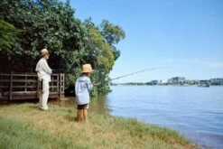 Kodak ColorPlus 36 EXP 200 35mm Colour Film For Camera -Film Camera Store kodak colorplus 36 exp 200 35mm film for camera 3