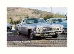 Kodak ColorPlus 36 EXP 200 35mm Colour Film For Camera -Film Camera Store kodak colorplus 36 exp 200 35mm film for camera 8