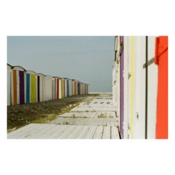 Kodak GOLD 200 24 Exp 35mm Film Double Pack EXPIRED -Film Camera Store kodak gold 200 24 exp 35mm film double pack expired 4