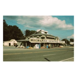 Kodak GOLD 200 24 Exp 35mm Film Double Pack EXPIRED -Film Camera Store kodak gold 200 24 exp 35mm film double pack expired 5