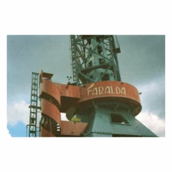 Kodak GOLD 200 24 Exp 35mm Film Double Pack EXPIRED -Film Camera Store kodak gold 200 24 exp 35mm film double pack expired 9