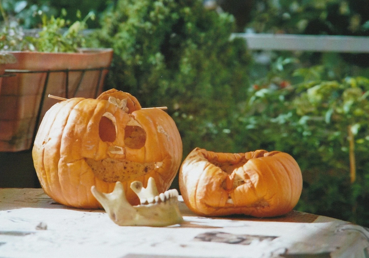 Kodak GOLD 200 24 Exposures 35mm Colour Film 12 Kodak GOLD 200 24 Exposures 35mm Colour Film - Image 10