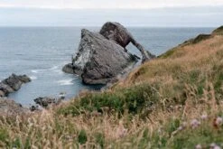 Kodak GOLD 200 24 Exposures 35mm Colour Film 18 Kodak GOLD 200 24 Exposures 35mm Colour Film -Film Camera Store kodak gold 200 24 exposures 35mm colour film 7