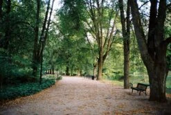 Kodak GOLD 200 24 Exposures 35mm Colour Film 20 Kodak GOLD 200 24 Exposures 35mm Colour Film -Film Camera Store kodak gold 200 24 exposures 35mm colour film 9