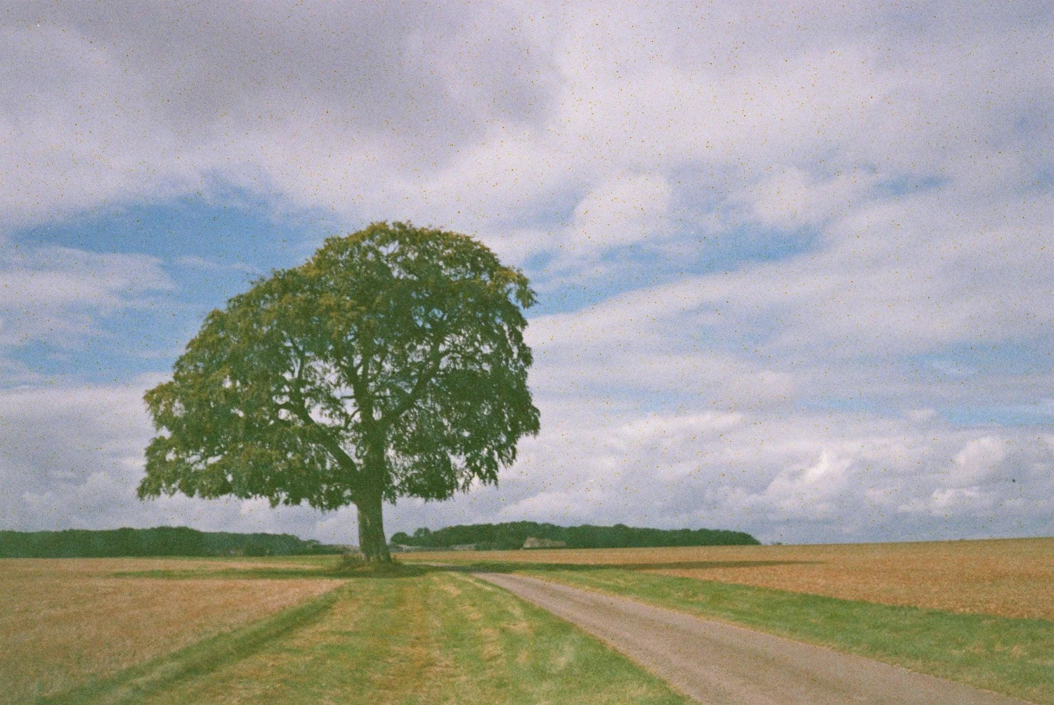 Konica POP Red 35mm Film Camera Point And Shoot 9 Konica POP Red 35mm Film Camera Point And Shoot - Image 7