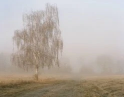 Mamiya 7 With 80mm F4 Lens. 6X7 Medium Format Film Camera -Film Camera Store mamiya 7 with 80mm f4 lens 6x7 medium format film camera 10