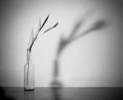 Mamiya 7 With 80mm F4 Lens. 6X7 Medium Format Film Camera -Film Camera Store mamiya 7 with 80mm f4 lens 6x7 medium format film camera 13